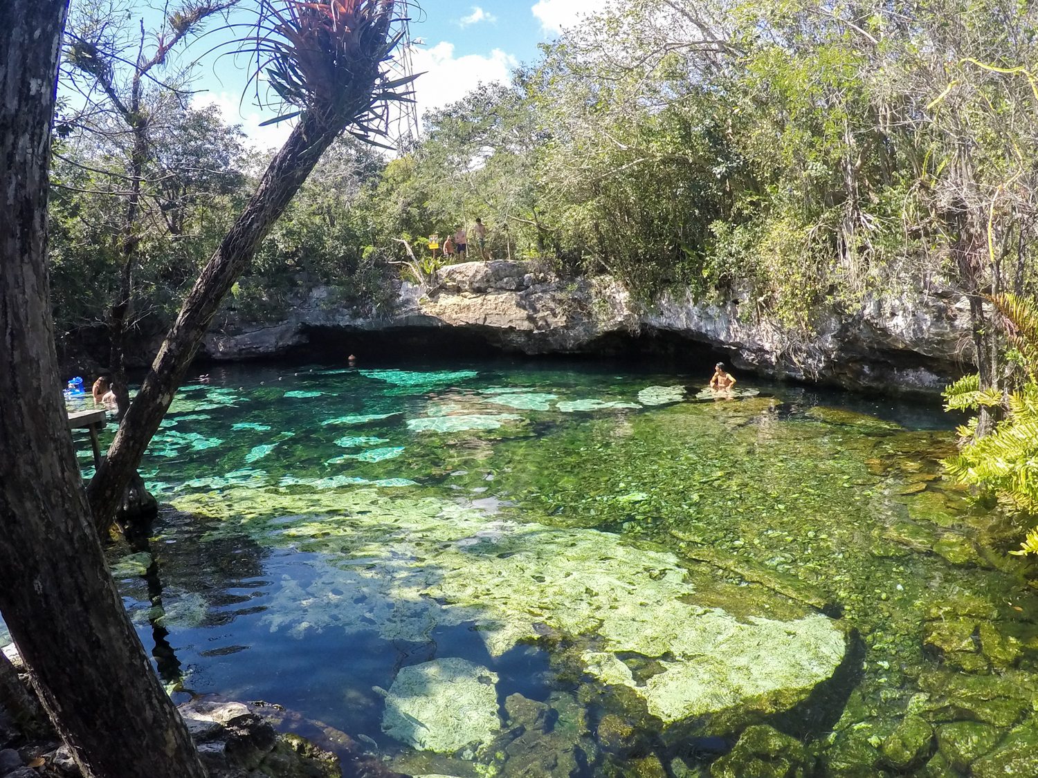 Cenote Azul in the Riviera Maya | Playa Del Carmen Blog