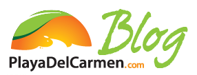 Playa Del Carmen Blog - News, Reviews & Fun Things to Do