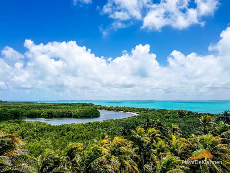 isla contoy tours from playa del carmen