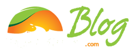 Playa Del Carmen Blog - News, Reviews & Fun Things to Do