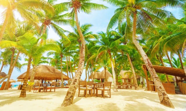 Playa Del Carmen - Discover Hotels, Resorts & Fun Things To Do