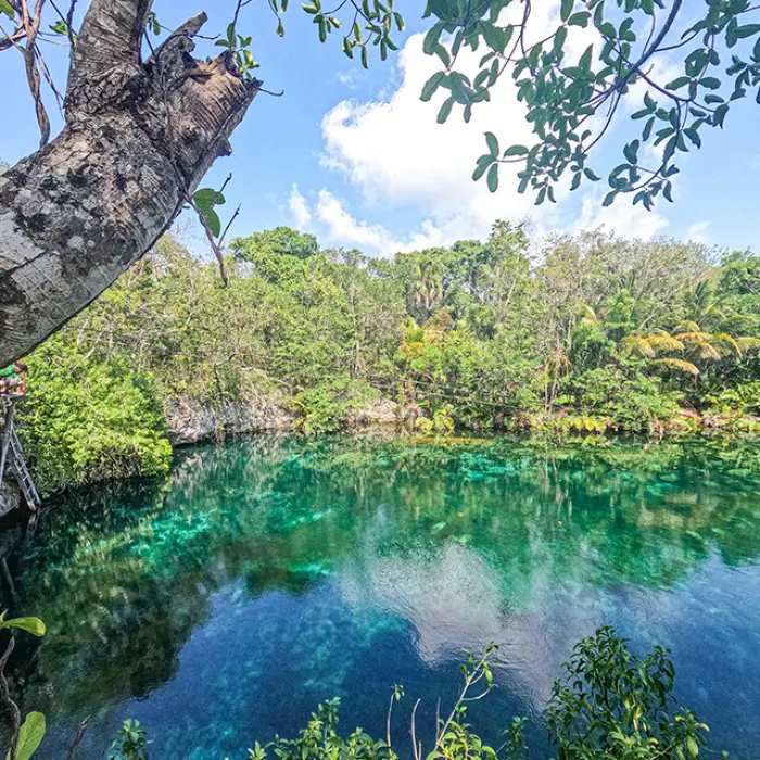Hidden cenote surrounded by jungle trees with clear emerald water, a peaceful stop on the snorkeling tour