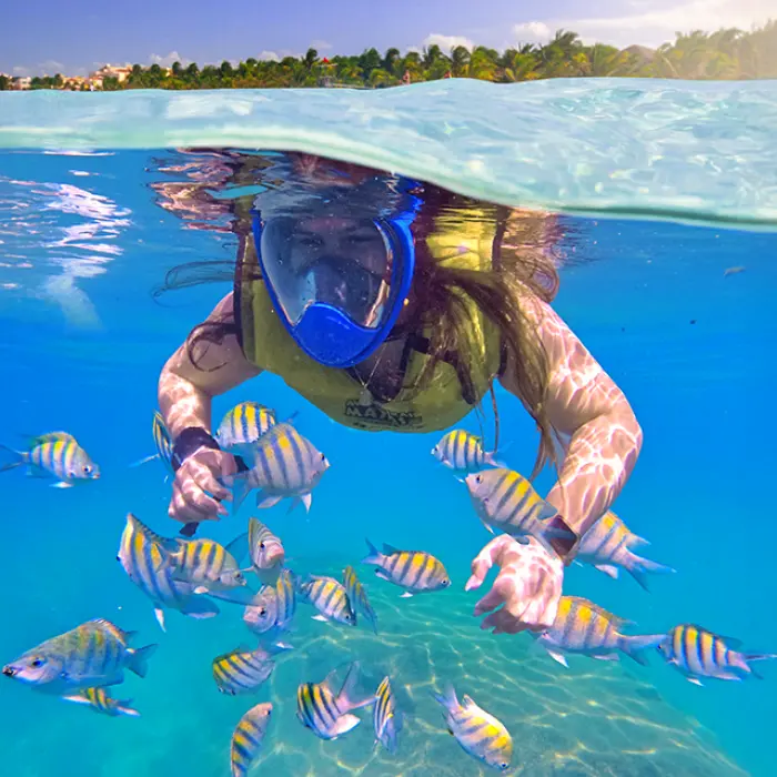woman snorkeling in a turquoise lagoon surrounded by tropical fish during the Adventure Snorkeling Tour in Riviera Maya