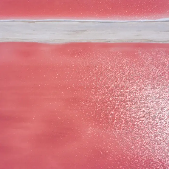 A close-up abstract view of the intensely pink water of Las Coloradas, showing the salt crystallization and unique texture of the famous lakes.