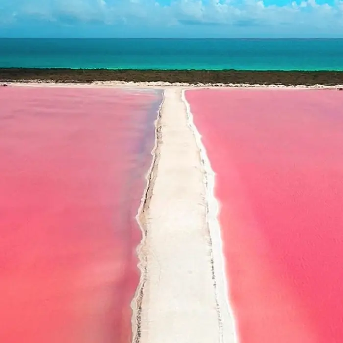 An incredible aerial view showing the vibrant pink lakes of Las Coloradas separated by a white salt path from the turquoise ocean water.