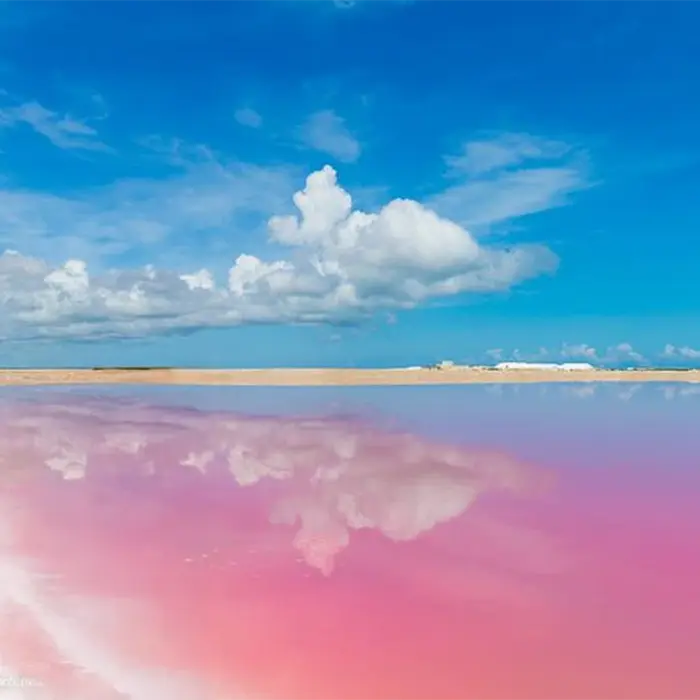A breathtaking landscape of the pink lakes at Las Coloradas, with perfect reflections of the white clouds and bright blue sky on the water.