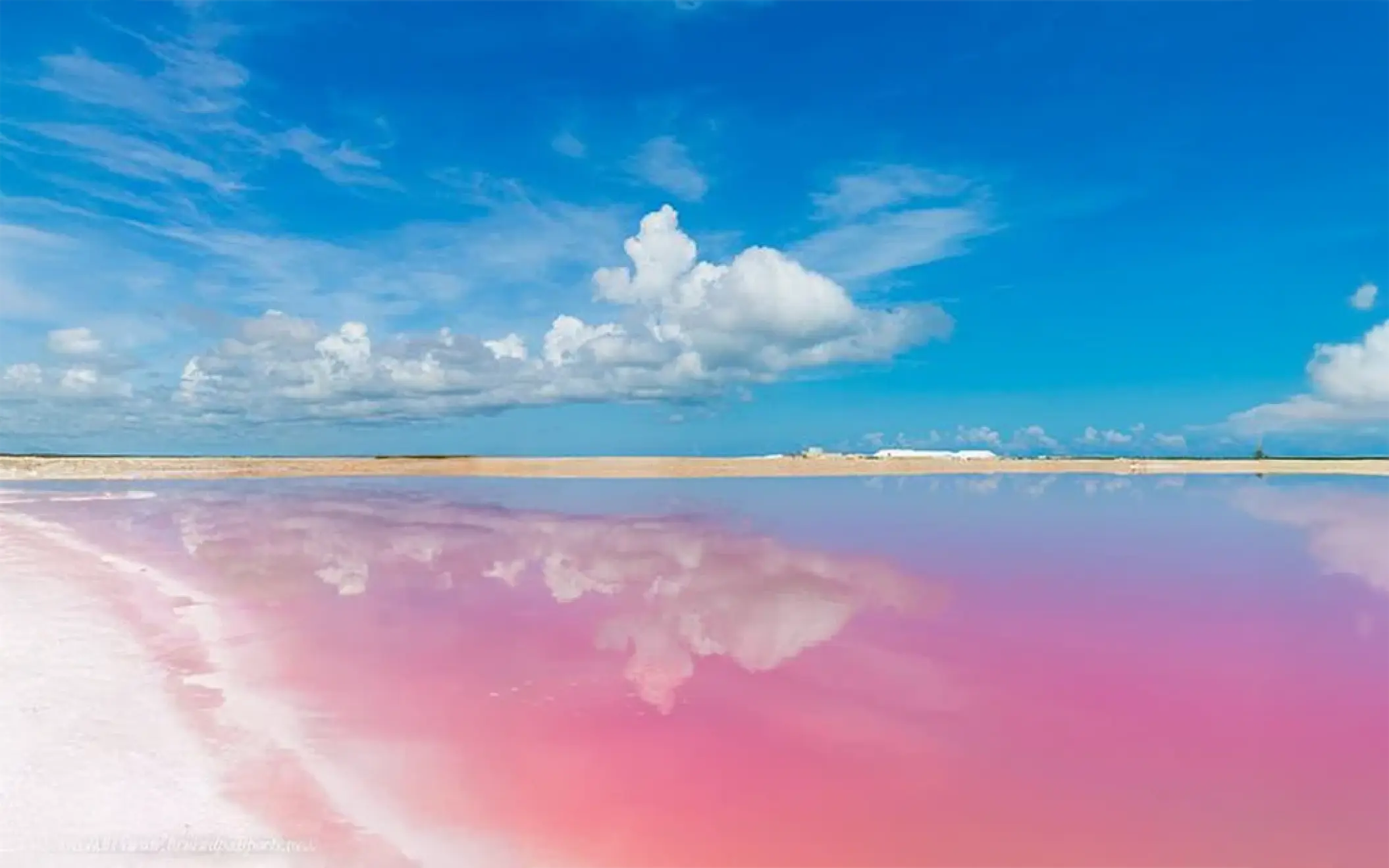 A breathtaking landscape of the pink lakes at Las Coloradas, with perfect reflections of the white clouds and bright blue sky on the water.