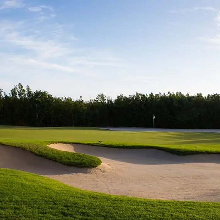 A perfectly manicured sand trap and green framed by the lush tropical jungle at the Greg Norman-designed El Camaleón course.