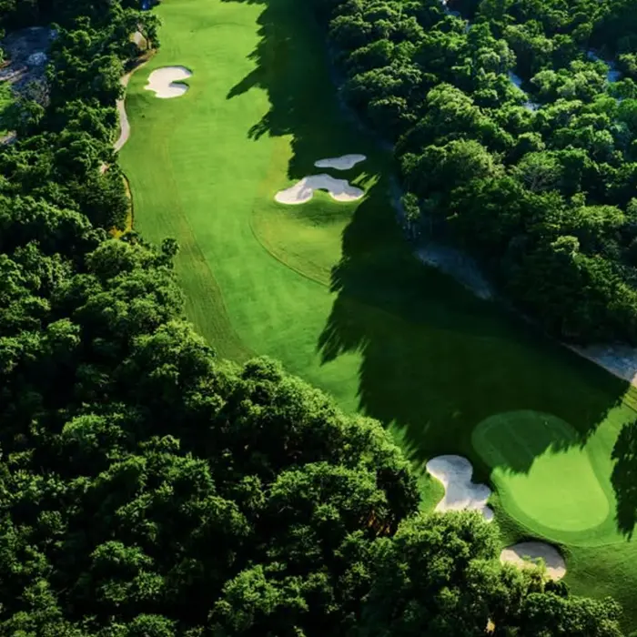 Aerial view of the lush green fairways divided by dense tropical jungle at Gran Coyote Golf Club.