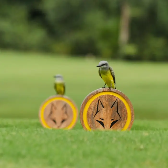 A small tropical bird rests on the iconic wooden Gran Coyote tee markers on a pristine golf green.