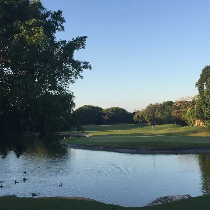 Ducks swimming in a peaceful freshwater lake alongside the tropical jungle fairways of the Hard Rock golf course.