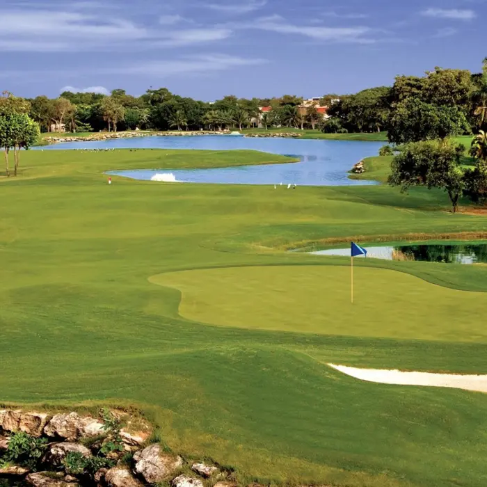 A sweeping landscape view of the Hard Rock golf course featuring manicured greens, water hazards, and tropical trees.