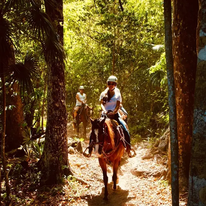 Person horseback riding through a lush forest in Playa del Carmen. Nature trail ride