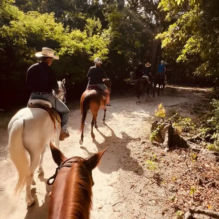 Group of people horseback riding on a dirt path through a green area in Playa del Carmen. Trail adventure