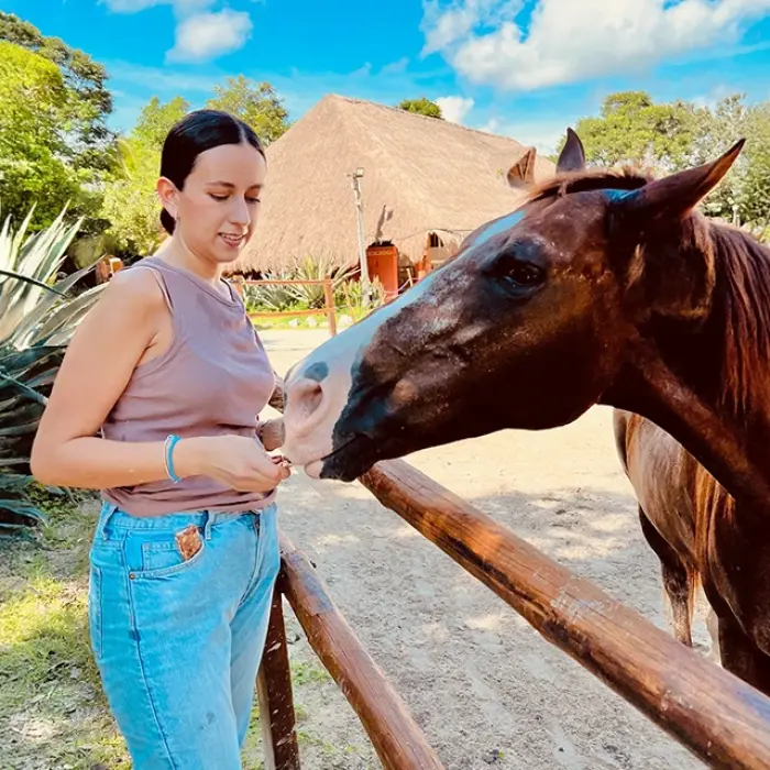 Woman gently petting a brown horse at a ranch in Playa del Carmen. Gentle connection