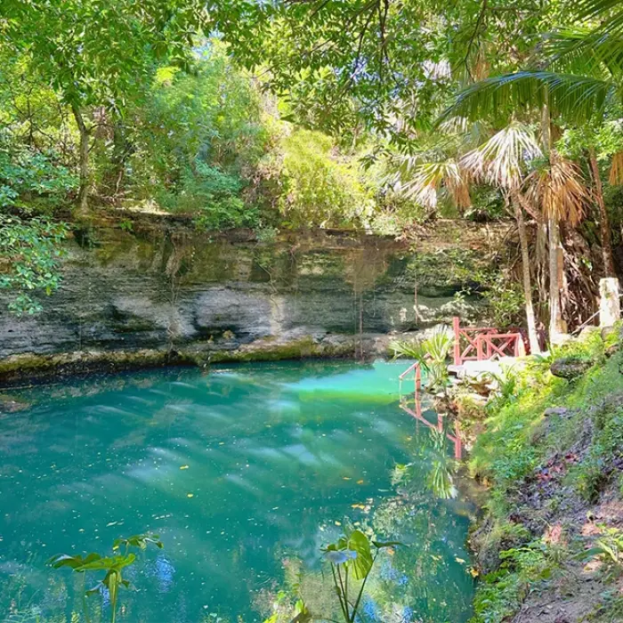 Scenic view of a clear blue river flowing through a lush landscape in Playa del Carmen. Beautiful backdrop