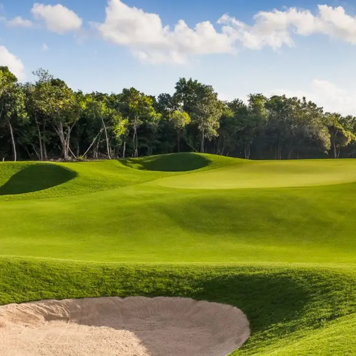 A perfectly manicured green protected by the deep, dramatic sand bunkers characteristic of P.B. Dye's signature design