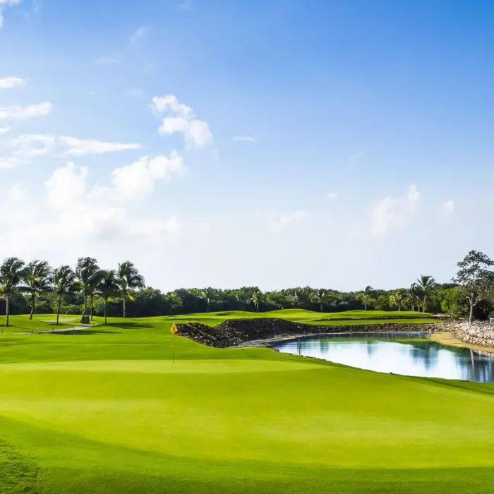 A bright, manicured golf green curves perfectly alongside a sparkling lake and palm trees at Iberostar Playa Paraíso