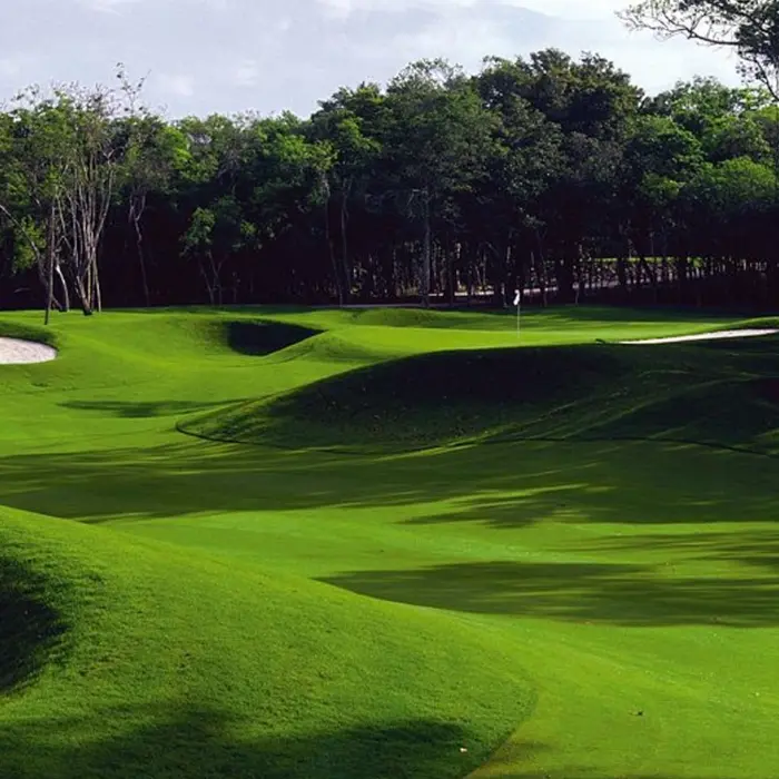 Signature P.B. Dye rolling fairways and challenging bunker layouts surrounded by native jungle at the Iberostar championship golf course.