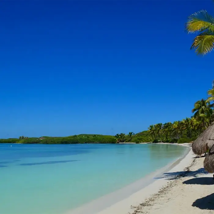 Aerial shot of Isla Contoy and its untouched nature on the Paradise Islands: Isla Contoy & Isla Mujeres tour