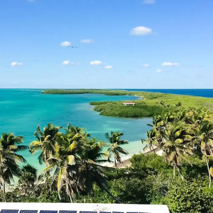 Birdwatching at Isla Contoy’s lagoon during the Paradise Islands: Isla Contoy & Isla Mujeres nature tour