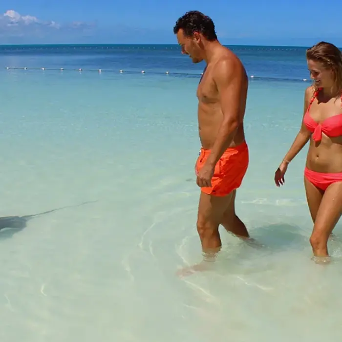 Encountering a stingray while snorkeling during the Paradise Islands: Isla Contoy & Isla Mujeres excursion