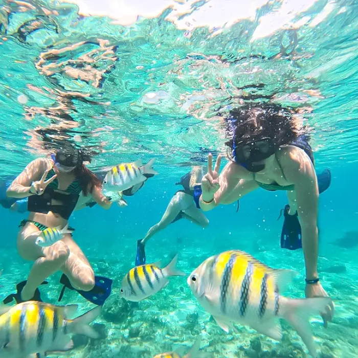 Colorful reef and fish seen while snorkeling on a Riviera Maya catamaran tour