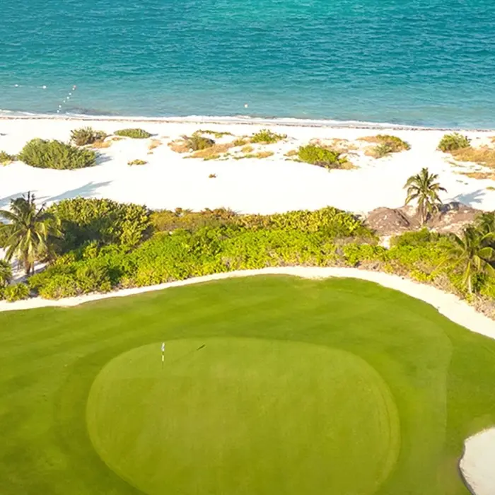 A group of friends enjoying a fun and relaxed round of golf, with one player taking a swing right next to their parked golf carts on the lush fairway