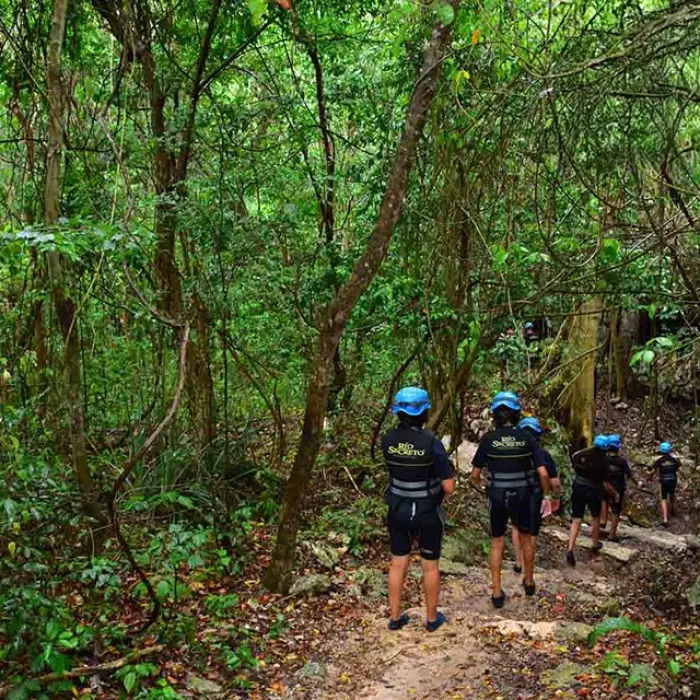 Rio Secreto jungle walk: Group of people in wetsuits and helmets walking down a path into the lush jungle at Rio Secreto