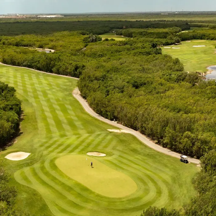 A sweeping aerial shot of a golfer putting on a vibrant green fairway at Riviera Cancún Golf Club, completely surrounded by dense, natural mangroves and tropical jungle