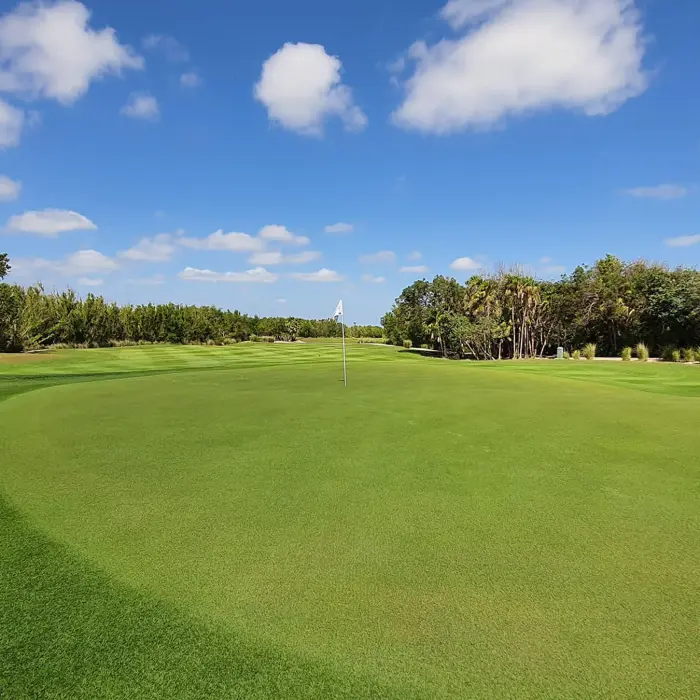 A flawlessly manicured, undulating golf green with a white flag at Riviera Cancún Golf Club, framed by dense, native tropical jungle on a clear, sunny day