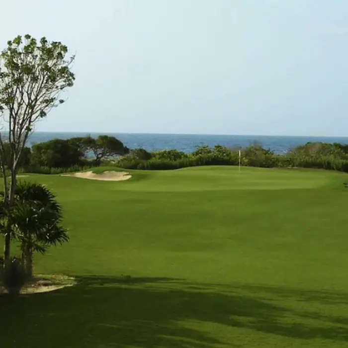 A pristine golf green perfectly positioned to overlook the bright blue waters of the Caribbean Sea and natural coastline