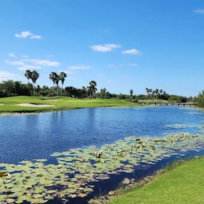 A peaceful natural lake covered in elegant lily pads bordering the lush fairways and tall palm trees of Riviera Cancún