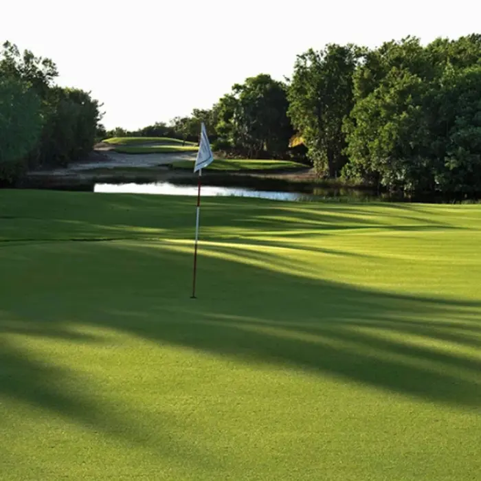 A beautifully shadowed, manicured golf green with a white flag surrounded by dense, native jungle at Riviera Cancún