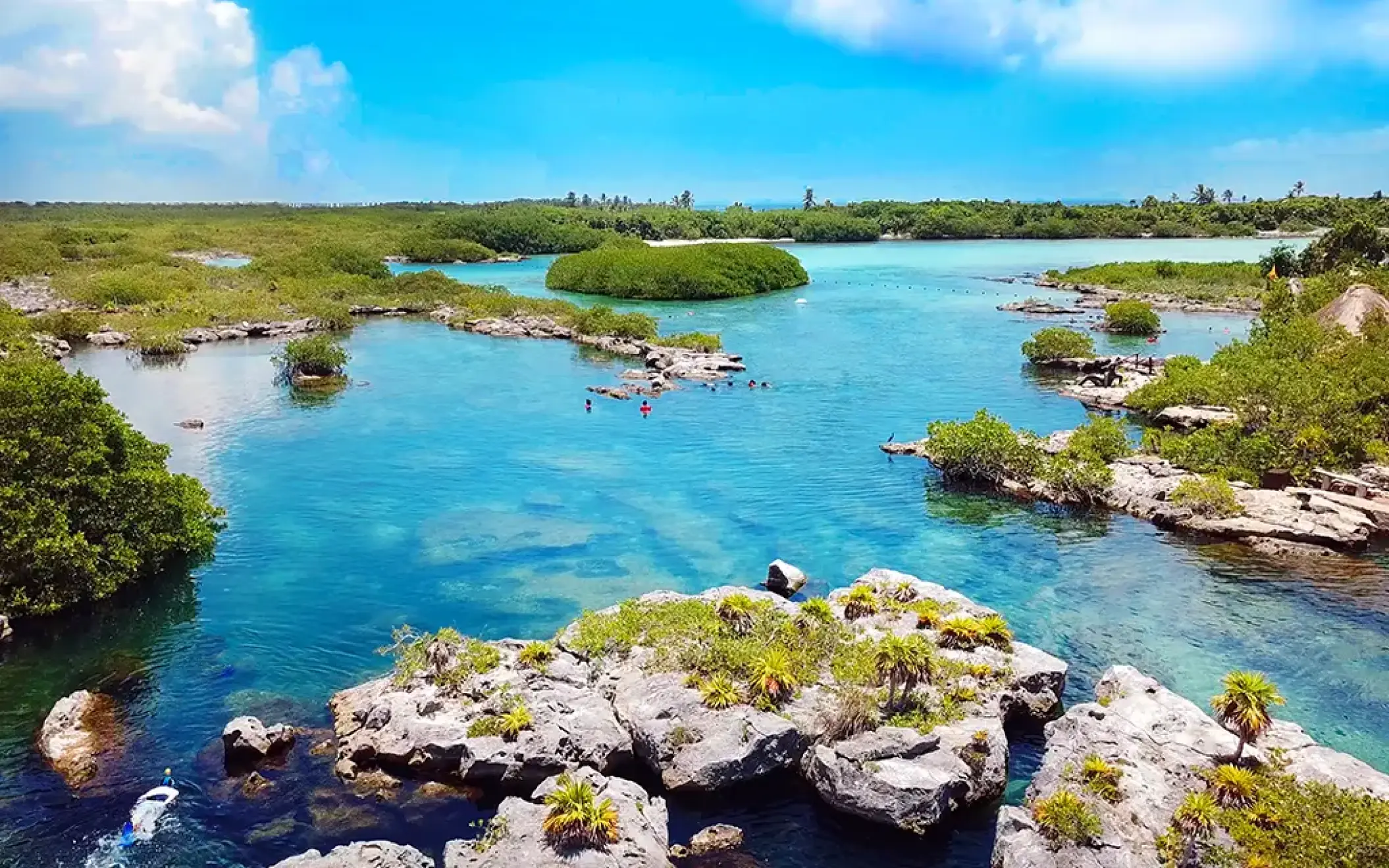 Scenic aerial view of a river lagoon and mangroves at a nature park in Mexico