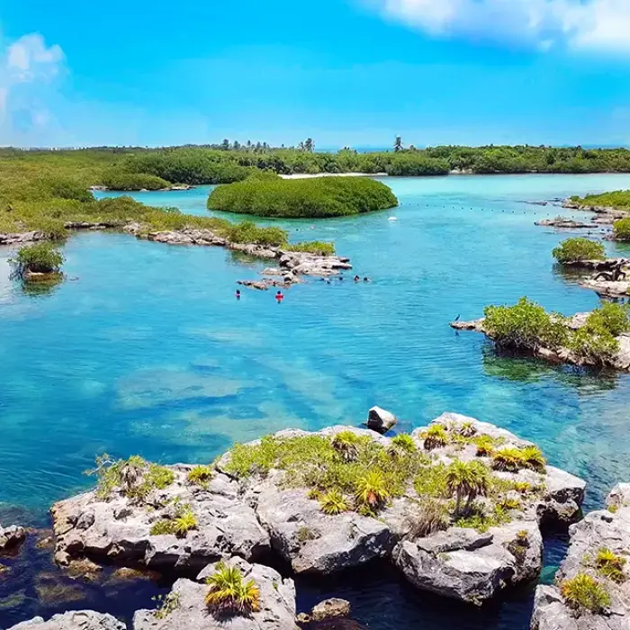Scenic aerial view of a river lagoon and mangroves at a nature park in Mexico