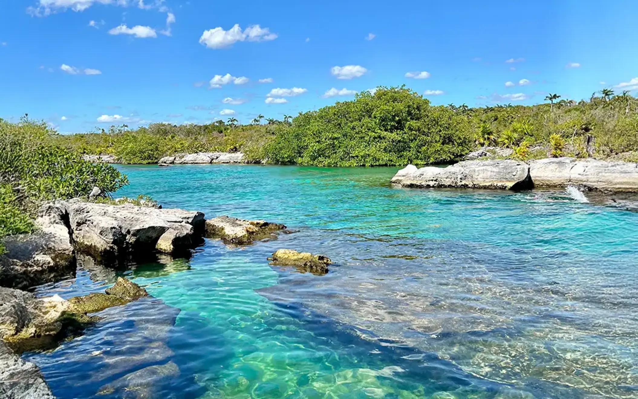 Scenic view of a turquoise lagoon with rocky edges and lush greenery in Mexico