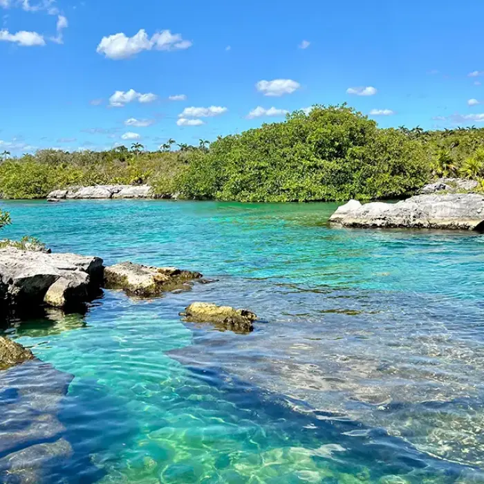 Scenic view of a turquoise lagoon with rocky edges and lush greenery in Mexico