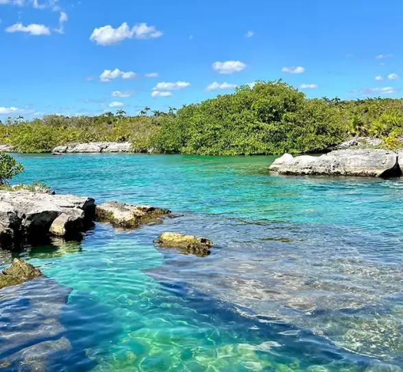 Scenic view of a turquoise lagoon with rocky edges and lush greenery in Mexico