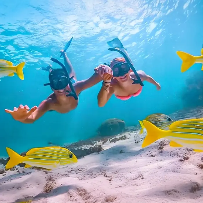 A couple snorkeling underwater, surrounded by vibrant yellow fish in a coral reef