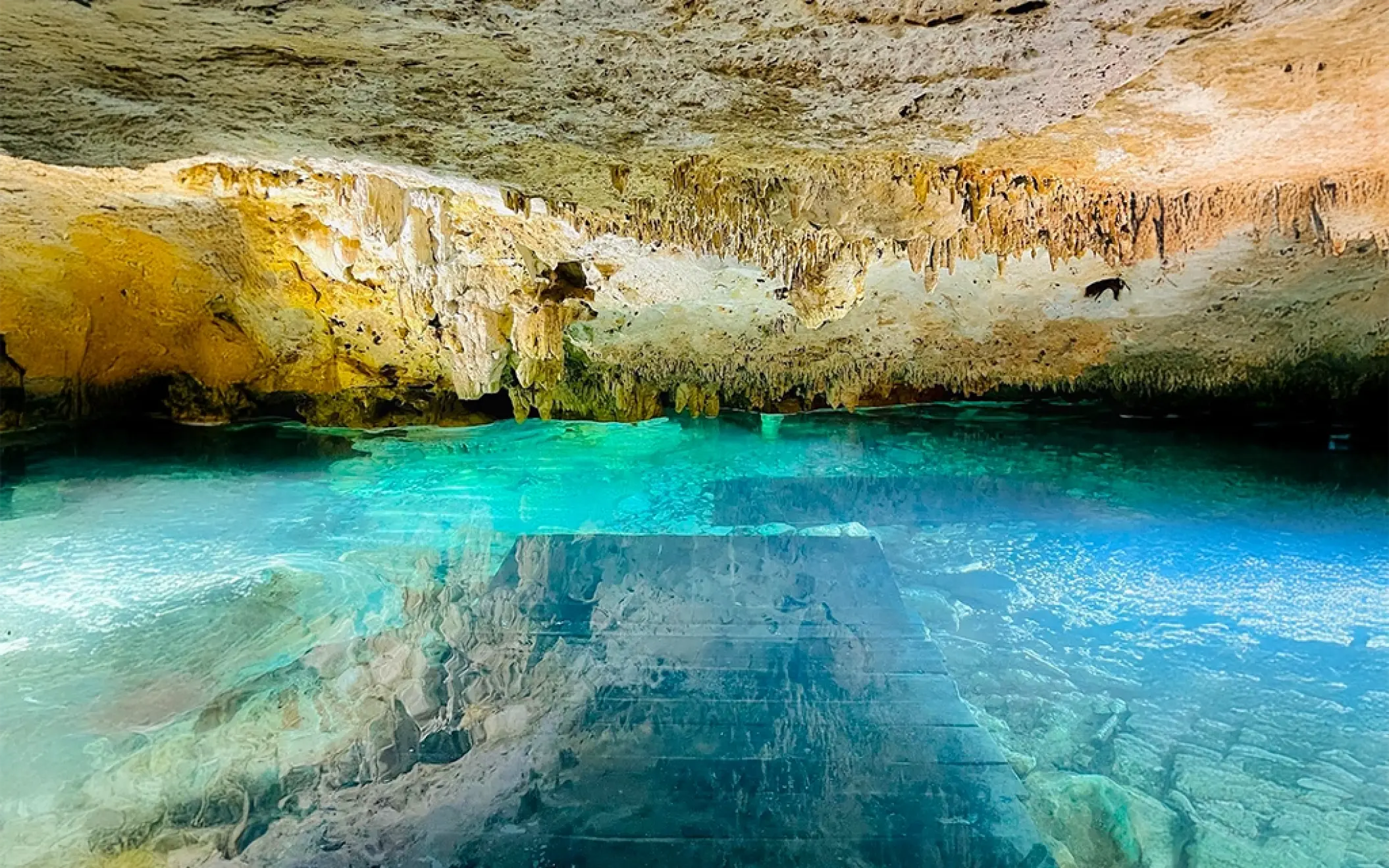Stunning cave cenote with turquoise water and rock formations inside Xel-Há park