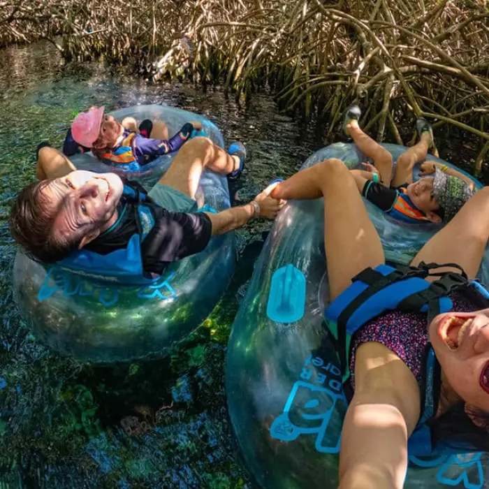 Friends relaxing in inner tubes while floating through mangroves in the lazy river