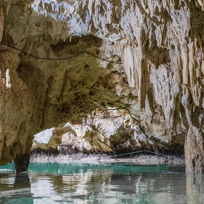 Turtle Cenote interior: Turquoise water fills a spacious cave adorned with numerous stalactites