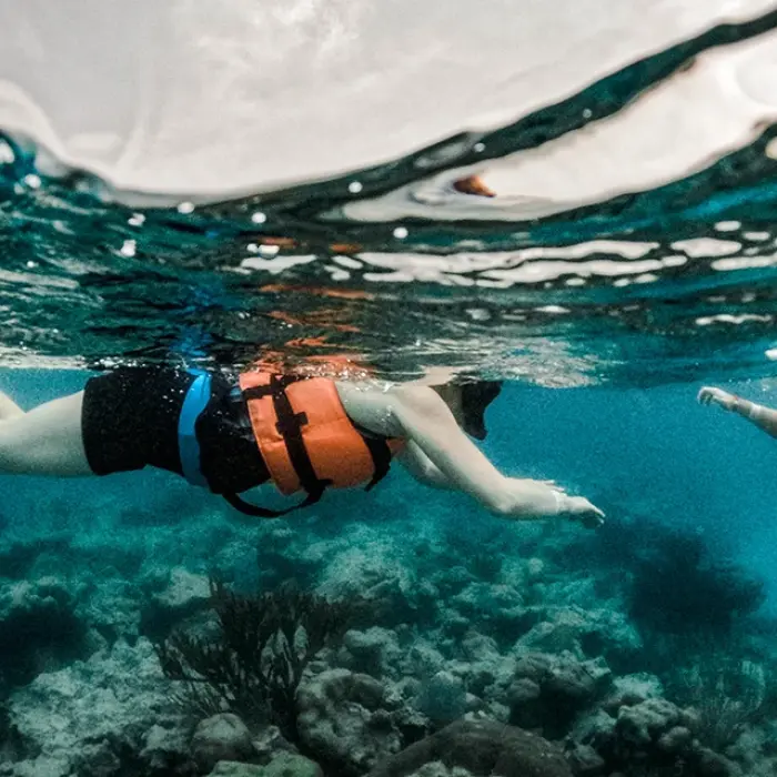 Turtle Cenote snorkeling: Two people swim in clear blue water, observing coral