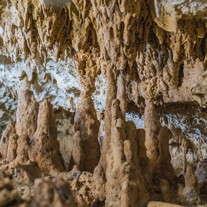 Turtle Cenote geology: Close-up of intricate stalactites and stalagmites formations inside the cave