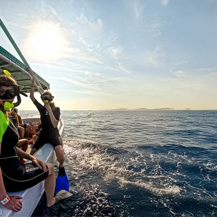 Guests in full snorkel gear sit on the edge of our boat, filled with excitement and ready to jump into the water for their whale shark swim.