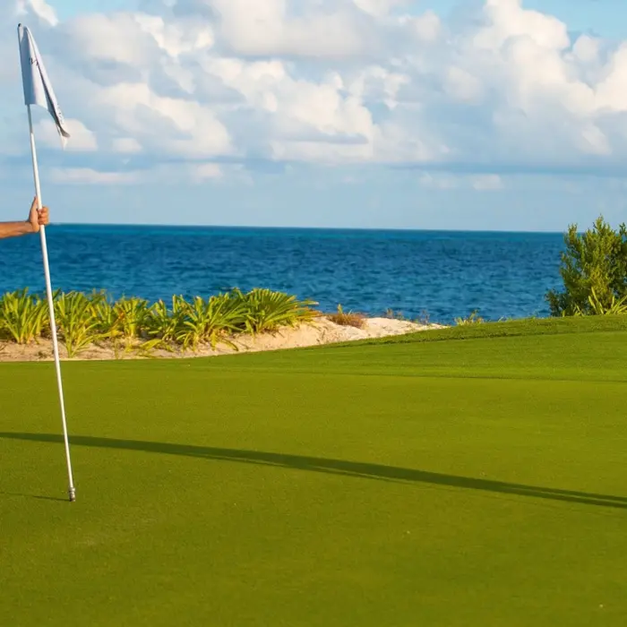 A group of friends enjoying a round of golf, with one player putting on a vibrant green directly beside the beautiful Caribbean Sea.