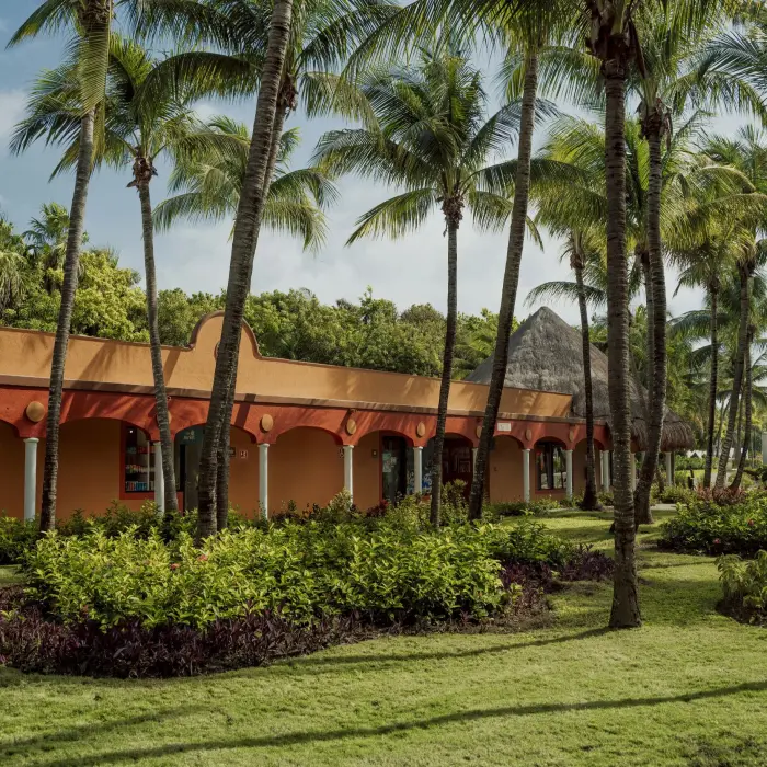 Lush green lawns and vibrant tropical plants surround a terracotta-colored resort building at Catalonia Playa Maroma, with tall palm trees.