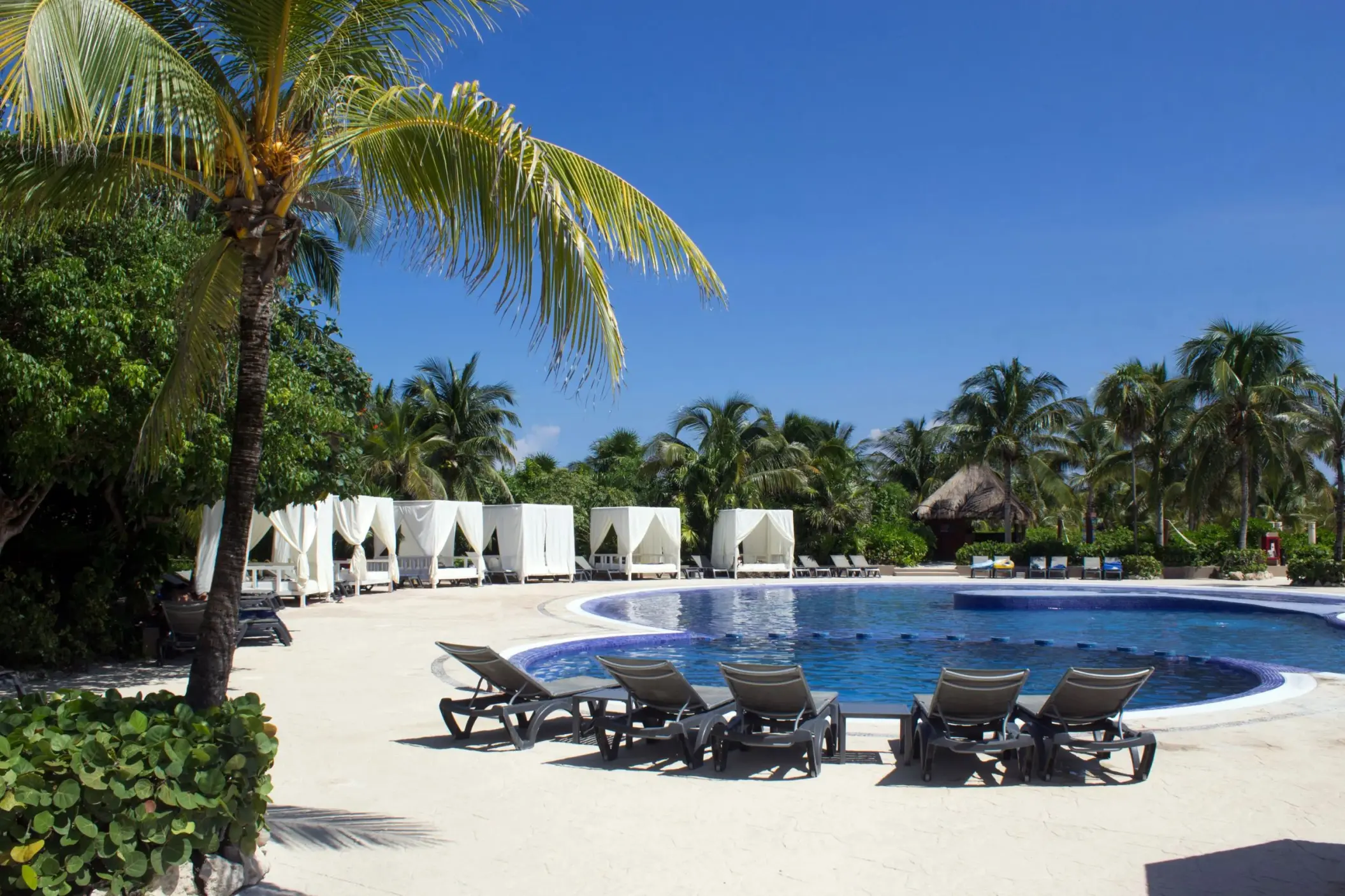 A serene resort pool at Catalonia Playa Maroma with numerous sun loungers and white cabanas under a clear blue sky.