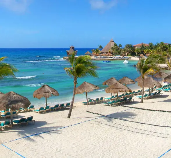 A sandy beach with lounge chairs under umbrellas, a volleyball net, palm trees, and the clear blue ocean.